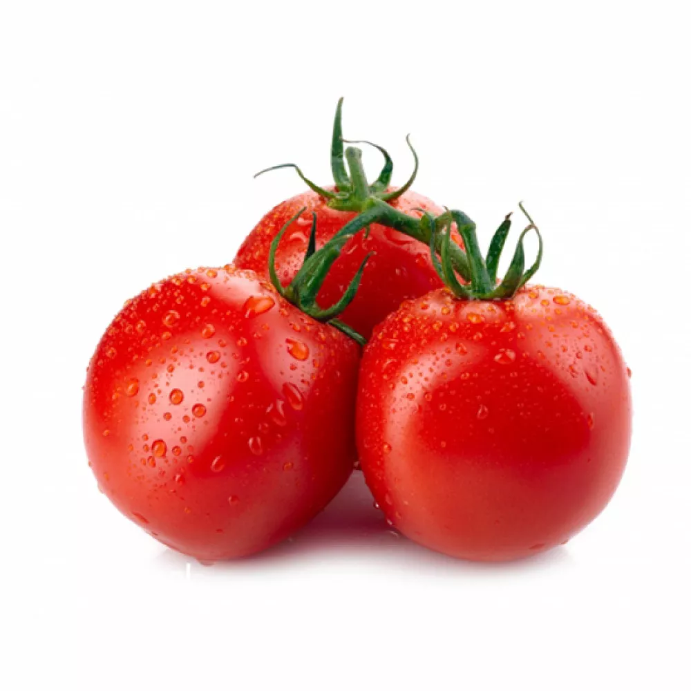 pomidor1-1000×1000