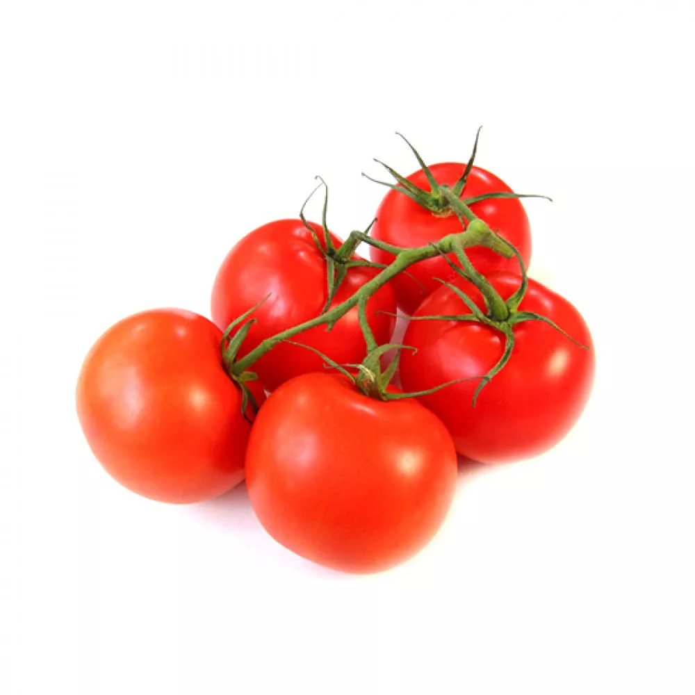 pomidor_salxim_1-1000×1000